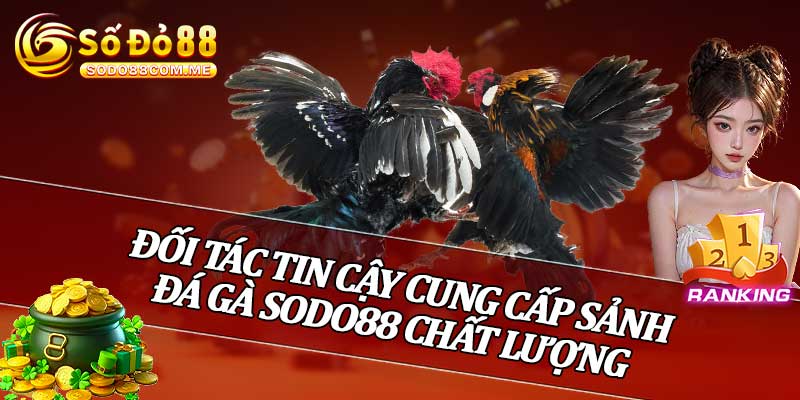 Đối Tác Tin Cậy Cung Cấp Sảnh Đá Gà Sodo88 Chất Lượng
