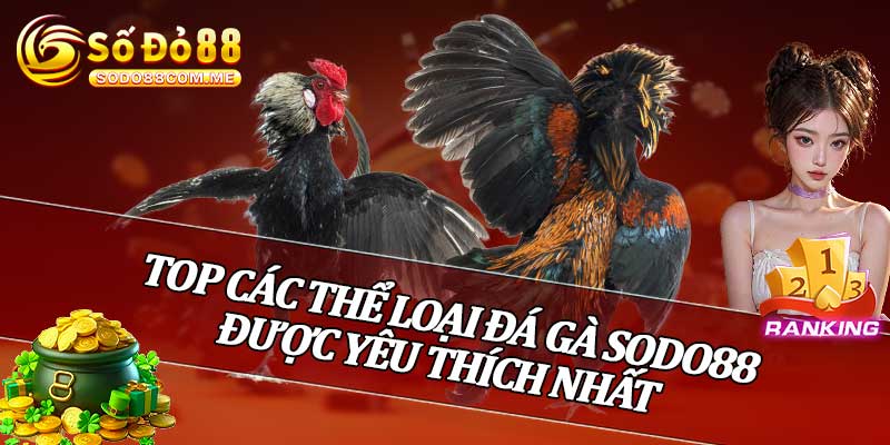 Top Các Thể Loại Đá Gà Sodo88 Được Yêu Thích Nhất